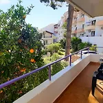 Apartment Ertem *