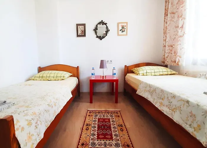 Ertem アパート ダッチャ