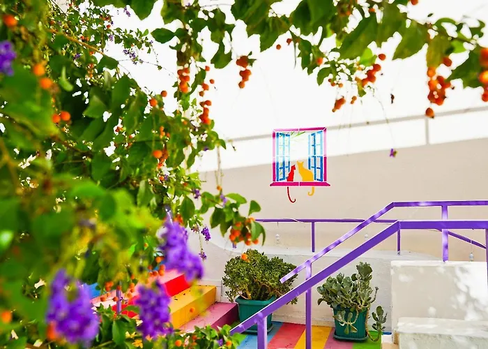 Ertem * ダッチャ