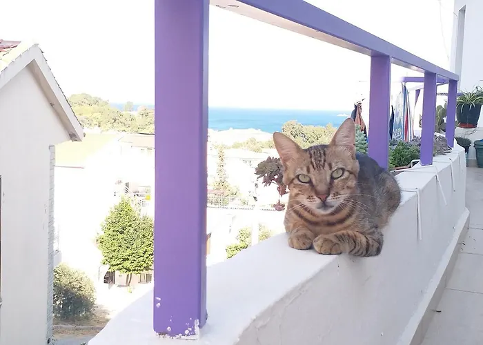 アパート Ertem *